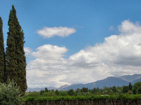 Andes Mountains seen from Nieto Senetiner