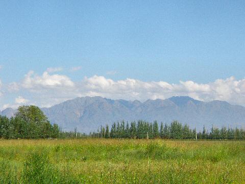 Andes Mountains seen from Bodega Tapiz