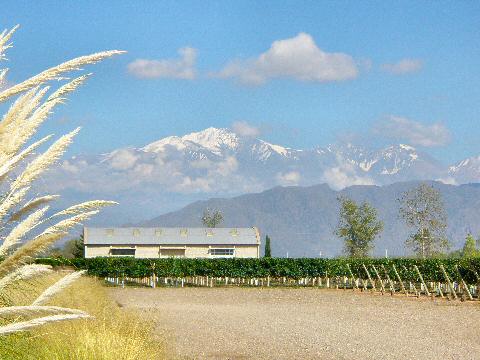 Andes Mountains seen from Septima