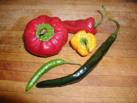 Peppers