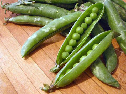 Fresh peas in the pod
