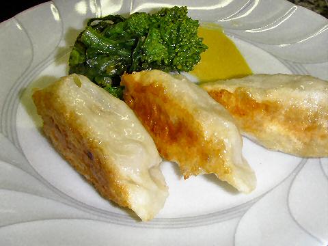 Pheasant Potstickers