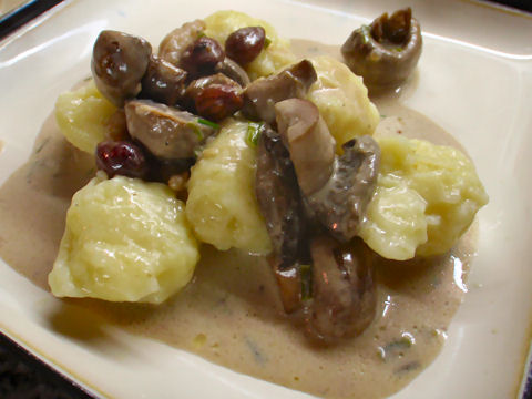 Roasted Garlic Gnocchi with Sweetbread & Mushroom Cream