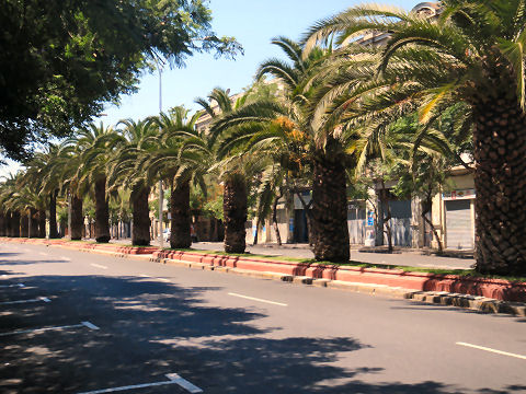 Along Av. Brasil