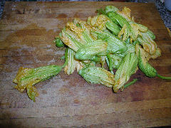 Squash Blossoms