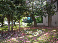 3 de Febrero - garden in front of Novartis headquarters