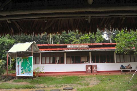 Allpahuayo Mishana Reserva Nacional