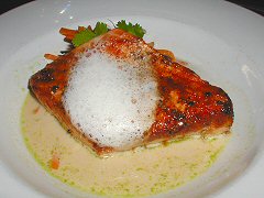 Sucre - salmon