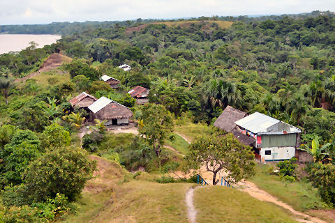 Amazon mirador