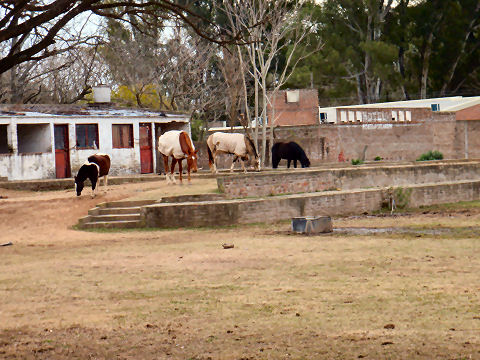 San Antonio de Areco - Quinta de Guerrico