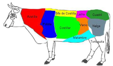 Primary Beef Cuts - Argentina