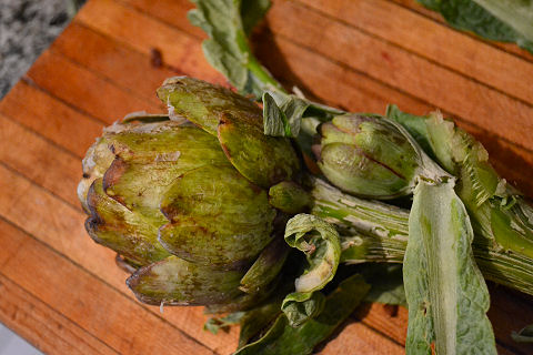 Artichoke and baby