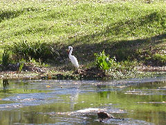 Azul - municipal park