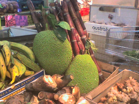 fresh Jackfruit