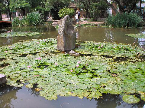 Belen - Japanese Garden