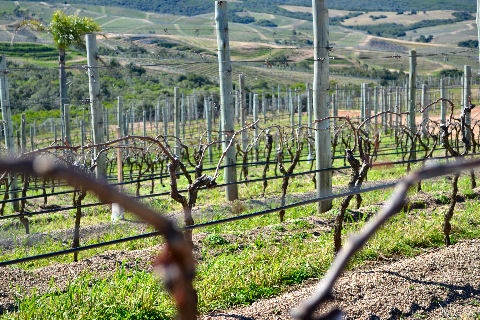 Colinas de Garzon