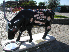 Cow showing its cuts of meat