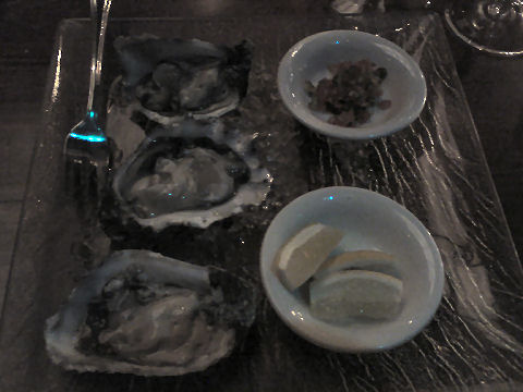Gran Bar Danzon - oysters