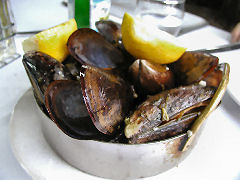 El Obrero - mussels provencale
