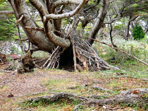 Estancia Tunel