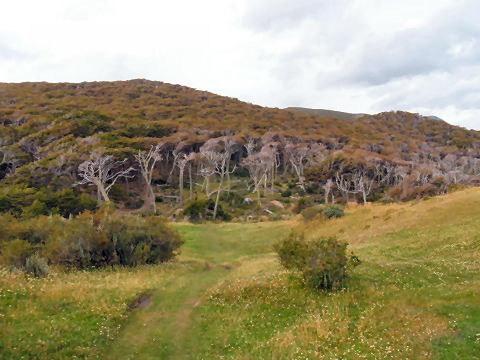 Estancia Tunel