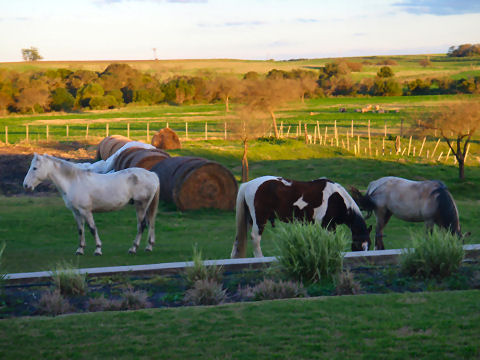 Estancia Tierra Santa