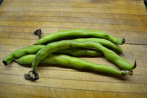 Preparing Fava Beans