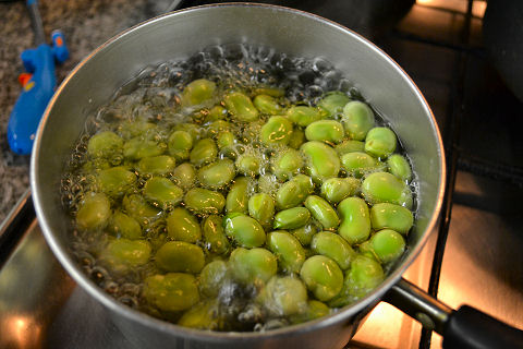 Preparing Fava Beans