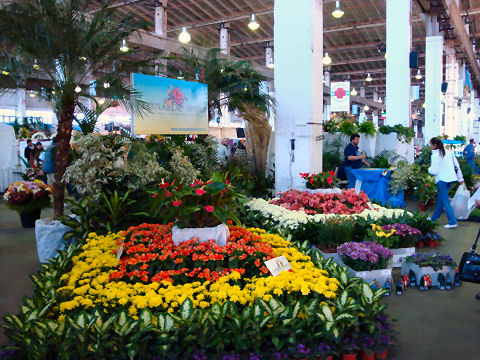 Florists Show