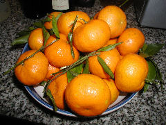 Tangerines