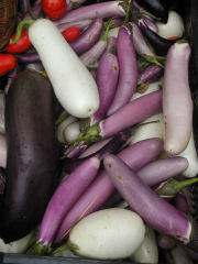 Greenmarket - eggplants