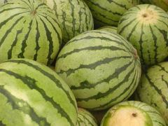 Greenmarket - watermelons