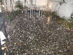 The backyard in mid-hailstorm