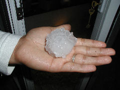 One of the larger hailstones we got hit with