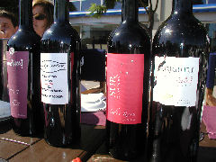 Some of the wines from our wine tasting