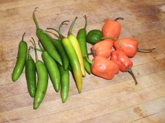 jalapeños and habaneros