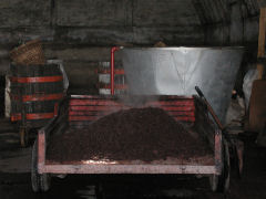 Irurtia - wagon full of grape pomace for grappa