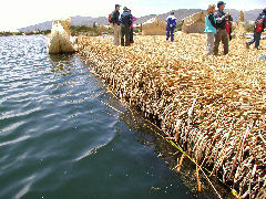 Edge of an island in the Islas Uros