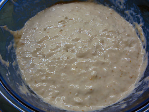 levain liquide after 2nd addition