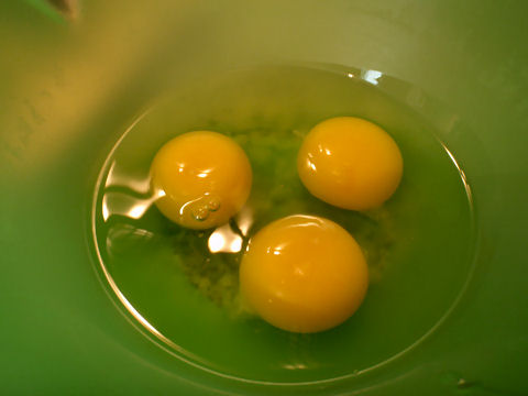 Eggs, ready to go