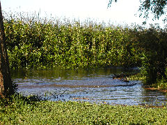 La Balandra