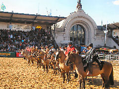 Horse show