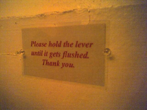 Lever Flushed