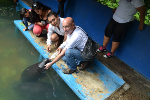 Manatee Rescue Center