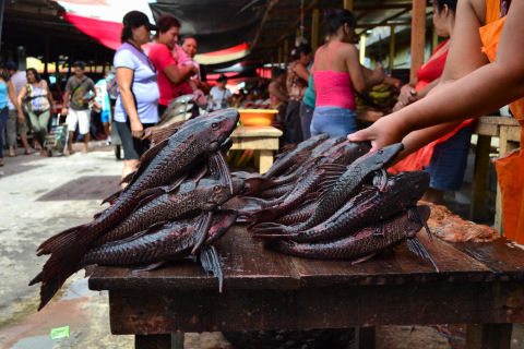 Belen Market tour