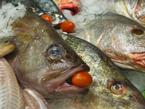 Fish at the Mercado del Progreso