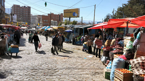 Mercado Rodriguez