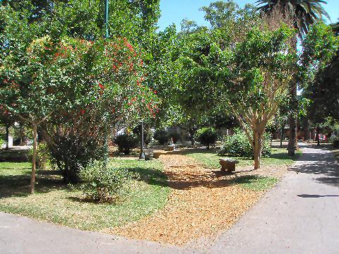 Monte Castro - Plaza Monsenor Fermin Lafitte