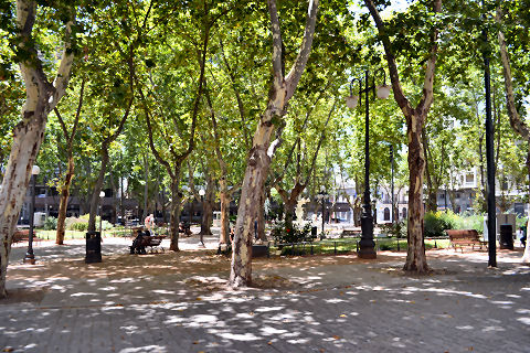 Plaza Matriz