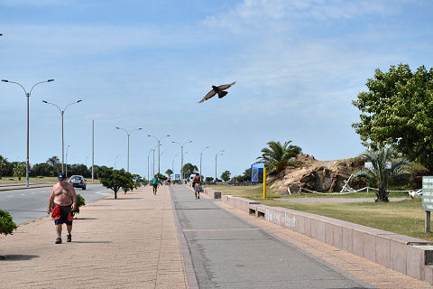 The rambla